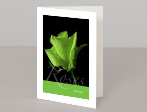 Roses A5 Greetings Card