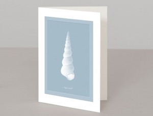Auger Shell A5 Greetings Card