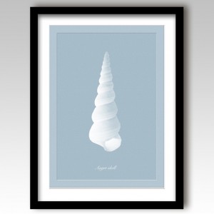 Auger Shell Art Print