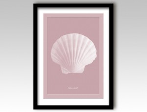 Clam Shell Art Print