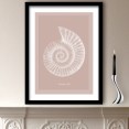 Nautilus Shell Art Print
